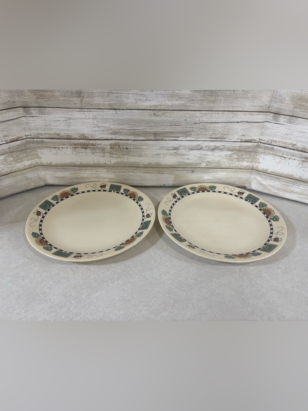 Set of 2 vintage Corelle SUNBLOSSOMS 10” dinner plates